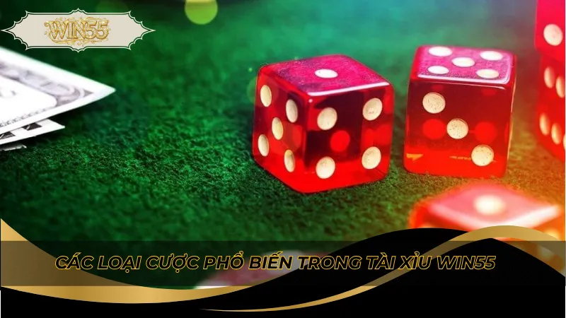 Các loại cược phổ biến trong tài xỉu Win55