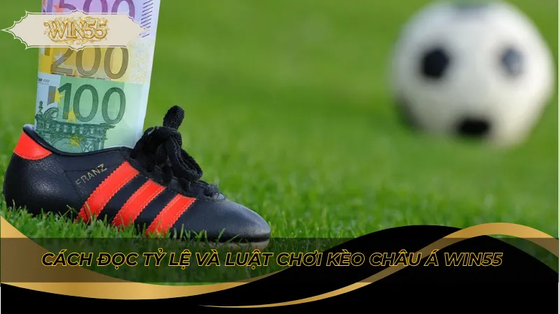 Cách đọc tỷ lệ và luật chơi kèo châu Á Win55