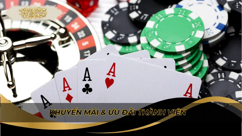 Khuyến mãi & ưu đãi thành viên