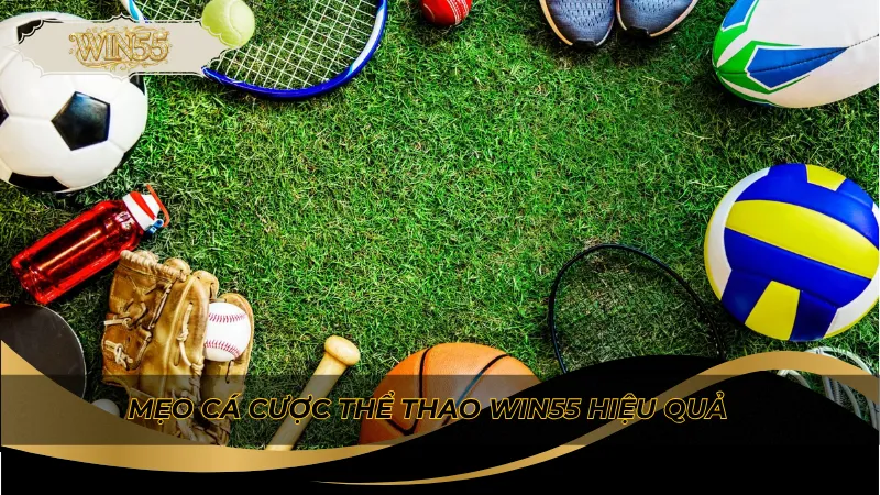 Mẹo cá cược thể thao Win55 hiệu quả