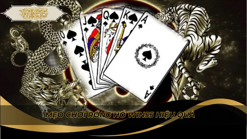 Mẹo chơi rồng hổ Win55 hiệu quả